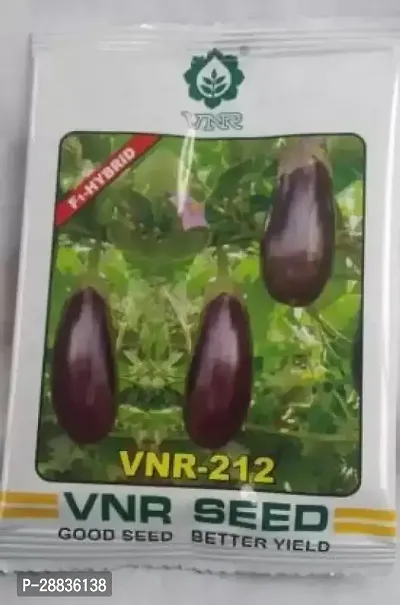 Baishnab Brinjal seeds 2000 per packetF171PIECE