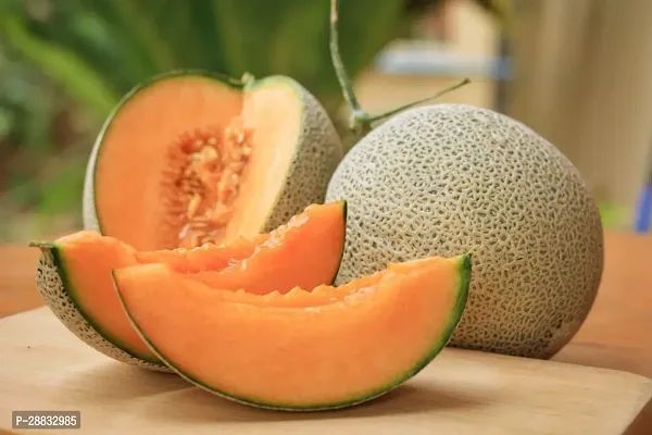 Baishnab Kumro Seed 35 Ps muskmelon G29435PIECE