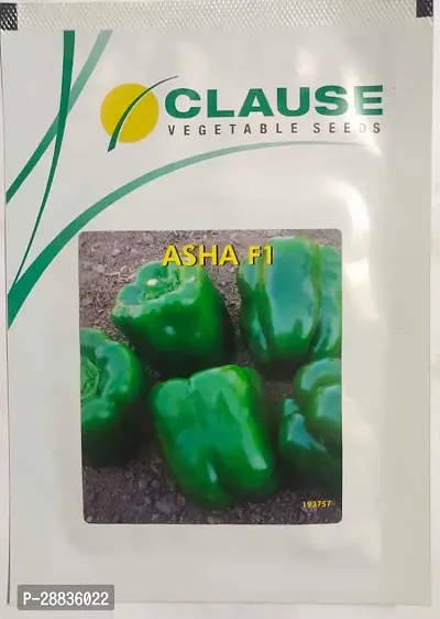 Baishnab Capsicum seed 10gramAsha F110PIECE