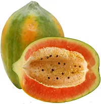 Baishnab Seed 100per packet XG484Papaya SD903100PIECE-thumb1