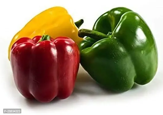 Baishnab CAPSICUM SEED KSWFarm Capsicum Hybrid Seeds Mixed Colour200PIECE