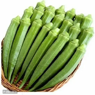 Baishnab Earth Seeds P119BHINDI35100PIECE-thumb0