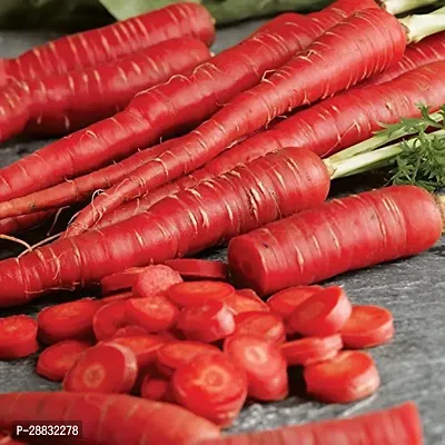 Baishnab Gajar Seed 500 ps ent Carrot Red Gajar 100 percent Organic F1 Hybrid Seeds 500 Seed500PIECE-thumb0