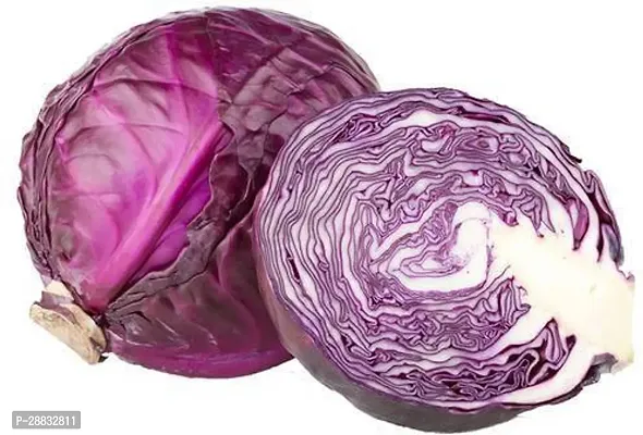 Baishnab Red Cabbage Seed 45 PsNXX 29645PIECE-thumb0