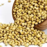 Baishnab CORIANDER PLANTS Dhaniya Seeds 03100PIECE-thumb2