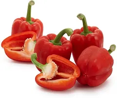 Baishnab Capsicum seed  20 psCapsicum Red seeds20PIECE-thumb2