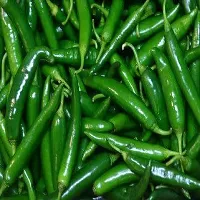 Baishnab chilli seed 10 per packetrbChilli Hybrid Vegetable Seeds   C839410PIECE-thumb1