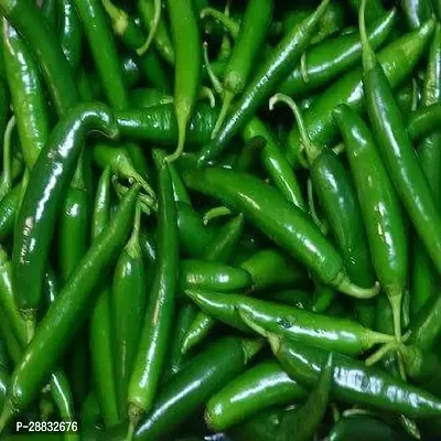 Baishnab chilli seed 10 per packetrbChilli Hybrid Vegetable Seeds   C839410PIECE-thumb2