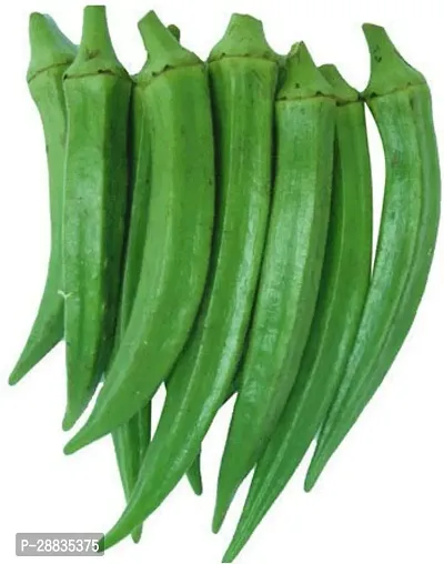 Baishnab Seed 50per packetXpl12650 Green Okra 21650PIECE