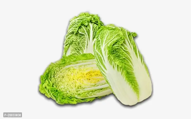 Baishnab Cabbage Seed 10 Ps...NXX 33810PIECE