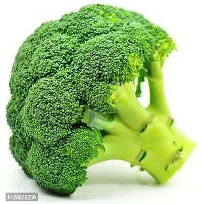 Baishnab Brocoli seed tf mc52psXC 62952PIECE