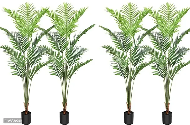 Baishnab  Areca Palm AAB004 Areca Palm-thumb0