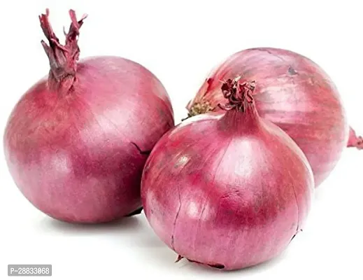 Baishnab Onion seed100 per packet 22 rbVegetable Onion Seeds Op   Sow and Grow Fresh Healthy Seed in Your Garden Perfect for Home   Terrace Gardening High Germination Seeds100PIECE-thumb0