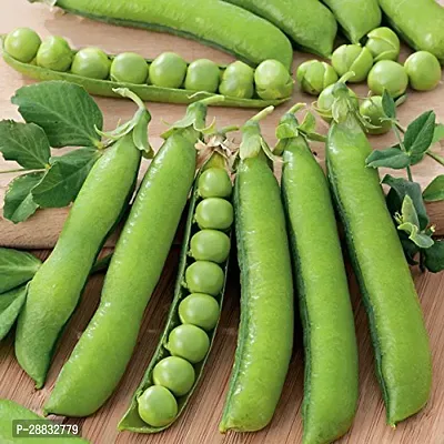 Baishnab Pea seed  5 per packetGreen Peas Haybrid Vegetable Seeds   S48755PIECE