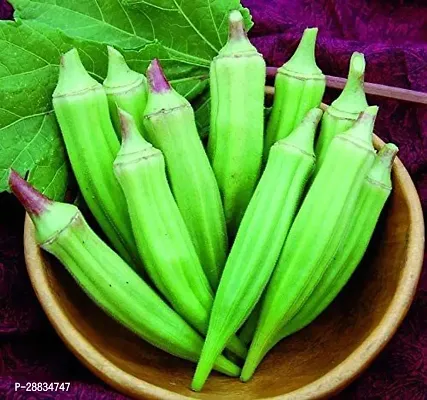 Baishnab vhindi sed 600 ps nhjOkra Seeds Ladyfinger Bhindi Vegetable Gardening Seeds For Planting OS613600PIECE