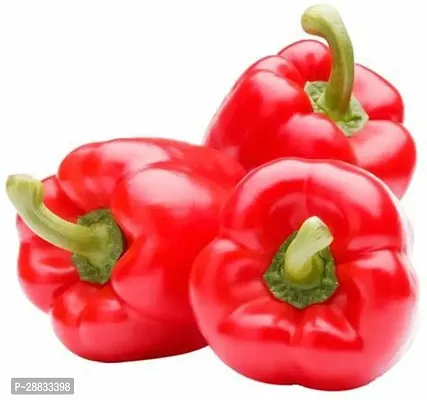 Baishnab capsicum seed juyrRED CAPSICUM SEEDS200PIECE