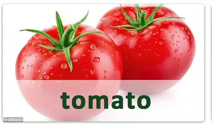 Baishnab tomato seed 375 ps gju Fast Germination Tomato Seeds375 Seeds375PIECE