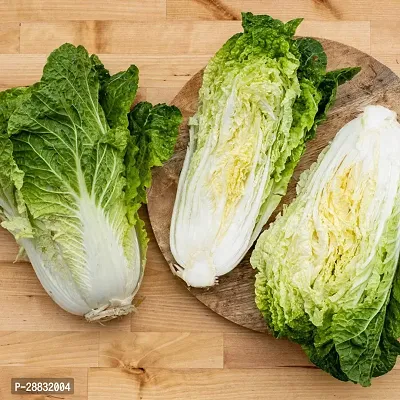 Baishnab Cabbage Seed 60 Ps..NXX 44060PIECE-thumb0