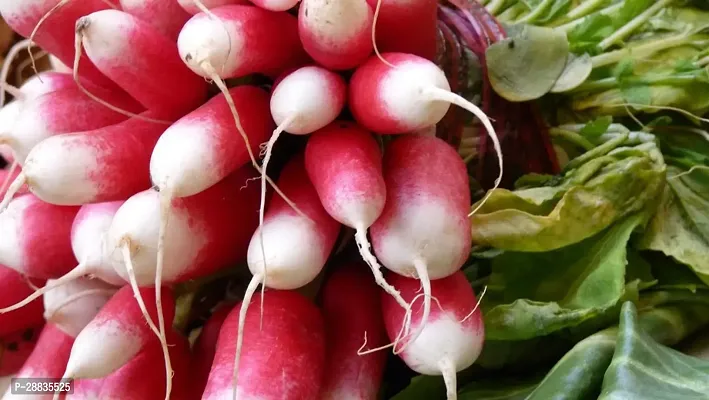 Baishnab Radish seed 25ps ujhooo 379725PIECE