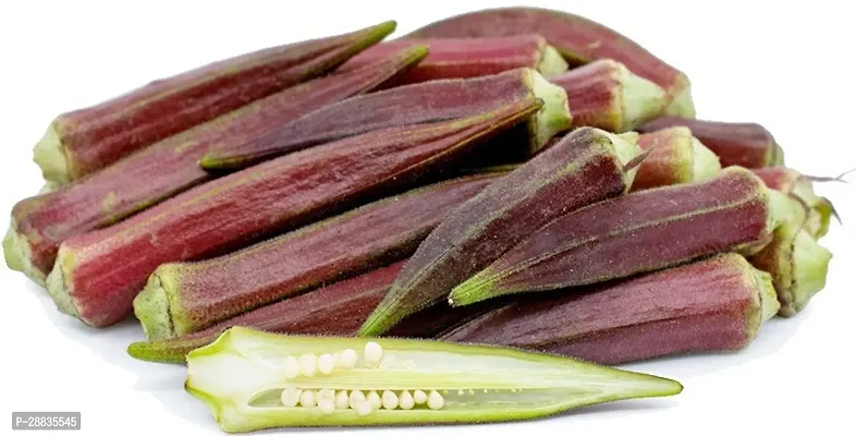 Baishnab Seed 80per packet XF27380 Red Okra 60580PIECE