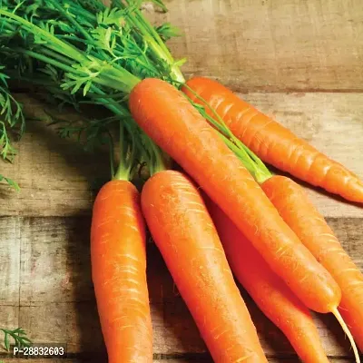 Baishnab Carrot Seed 25 Psa1 63525PIECE