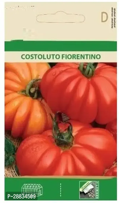 Baishnab tomato seed 1000 ps ved Tomato COSTOLUTO FIORENTINO Seeds1000PIECE