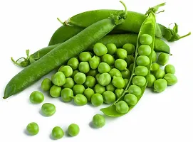 Baishnab Pea seed  5 per packetGreen Peas Haybrid Vegetable Seeds   S48755PIECE-thumb1