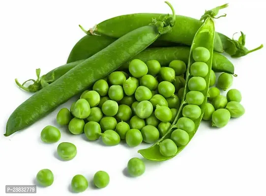 Baishnab Pea seed  5 per packetGreen Peas Haybrid Vegetable Seeds   S48755PIECE-thumb2