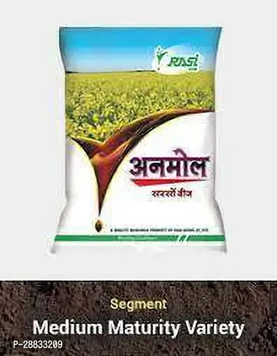 Baishnab Mustard seed 1kg mcs drRASI SEEDS ANMOL 1KG1PIECE-thumb0