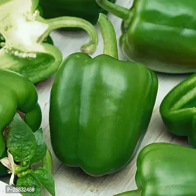 Baishnab Capsicum seed  40 psA+ Exotica F1    Green Capsicum hybrid Vegetable Seeds40PIECE-thumb0