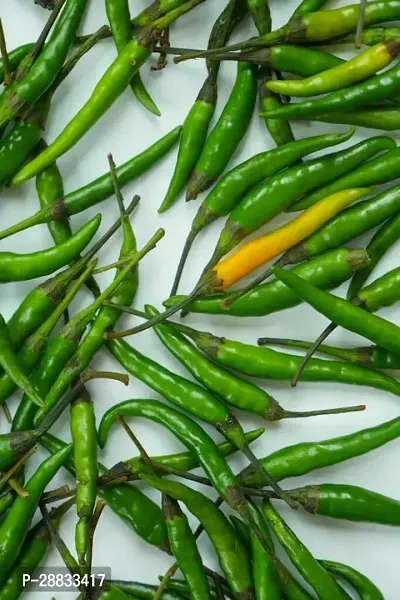 Baishnab Green chilli seed 40 per packetKD 160740PIECE