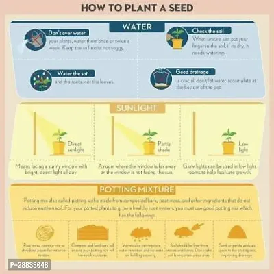 Baishnab Ea SD EN 61ENT SEED SL 61100PIECE-thumb3