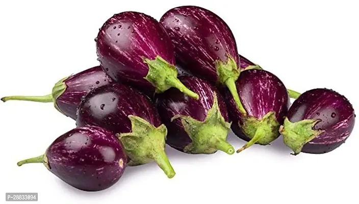 Baishnab Brinjal Seed 15 PsXR 99914PIECE