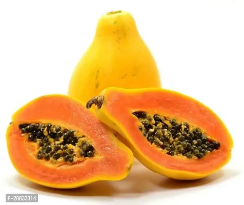 Baishnab Papaya seed 150 per packet hhPP37  BEST QUALITY SEED OF PAPAYA  PAPITA PACK OF 150 SEEDS   GERMINATION IMPORTED SEED PACK OF 150 SEEDS150PIECE-thumb0