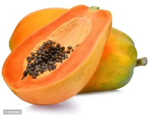 Baishnab Seed 80per packet XG460Papaya SD77380PIECE-thumb0