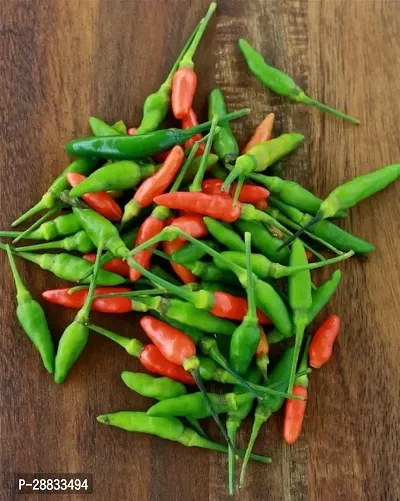 Baishnab Chilli seed 100 per packte klAfrican Bird Eye Chilli Hot Thai Pepper or Kanthari Mulaku100PIECE-thumb0