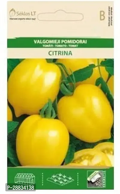 Baishnab tomato seed 500 ps aqw Tomato CITRINA Seeds500PIECE-thumb0