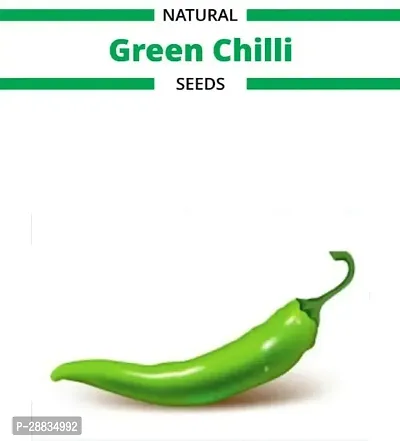 Baishnab Seed 500per packet XG355 XX 250 Organic Natural Green Chilli Seeds500PIECE