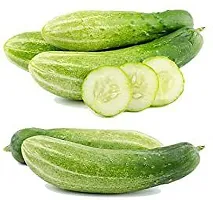 Baishnab Kheera seed 20 per packet rbNon GMO kheera Hybrid Cucumber Seeds   K72620PIECE-thumb1