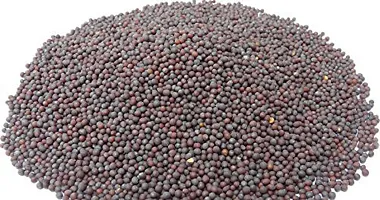 Baishnab Mustard seed 1kg mc yguhA112151ANN11PIECE-thumb2