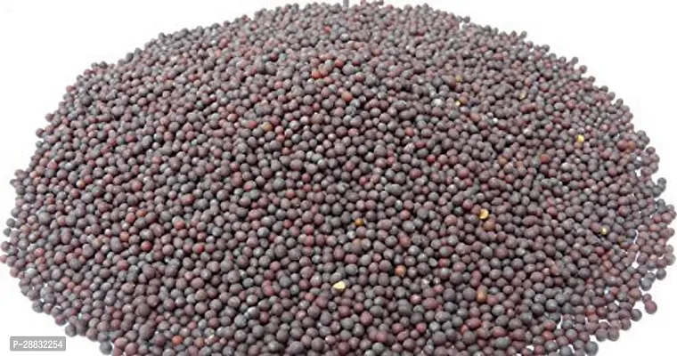 Baishnab Mustard seed 1kg mc yguhA112151ANN11PIECE-thumb3