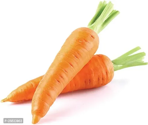 Baishnab Carrot Seed 39 PsXR 194939PIECE-thumb0