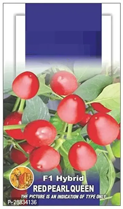 Baishnab Chilli seed 50 per packet ppChilli hybrid Red Pearl Queen seeds50PIECE