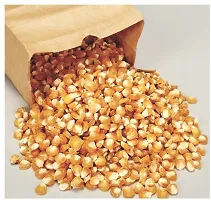 Baishnab Earth Seeds P09Sweet Corn F1 Hybrid Vegetable Seeds50PIECE-thumb1