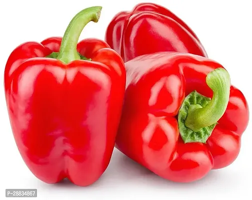 Baishnab RED capsicum seed 30psooo 24545130PIECE