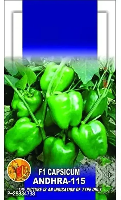 Baishnab capsicum seed ssaweCapsicum Green ANDHRA1000PIECE