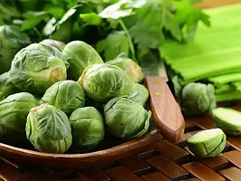 Baishnab Cabbage seed 20ps mc fytuhuiBrussels Sprouts1PIECE-thumb1