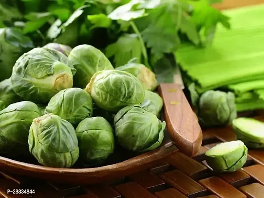 Baishnab Cabbage seed 20ps mc fytuhuiBrussels Sprouts1PIECE-thumb2