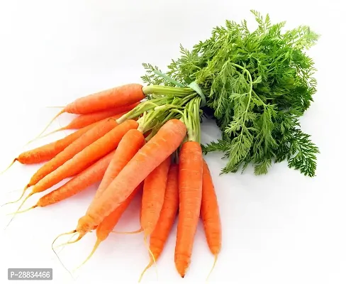 Baishnab carrot sed 50ps66454564550PIECE-thumb0