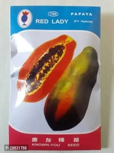 Baishnab Papaya seed jjk022P1PIECE-thumb0